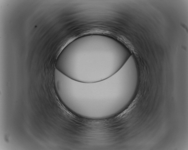 X0000098111369200804040752