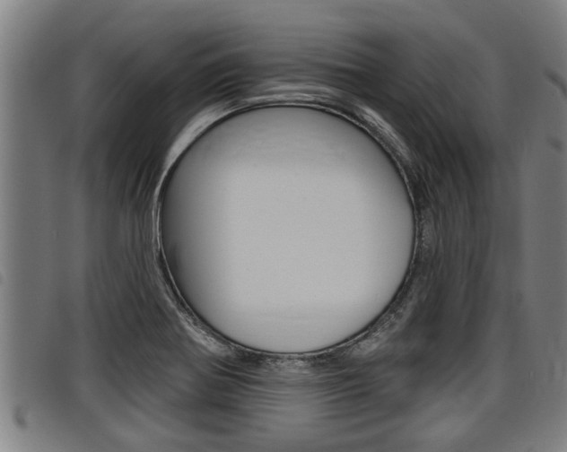 X0000098111370200804040752
