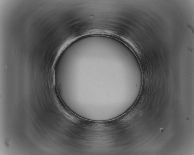 X0000098111371200804040752