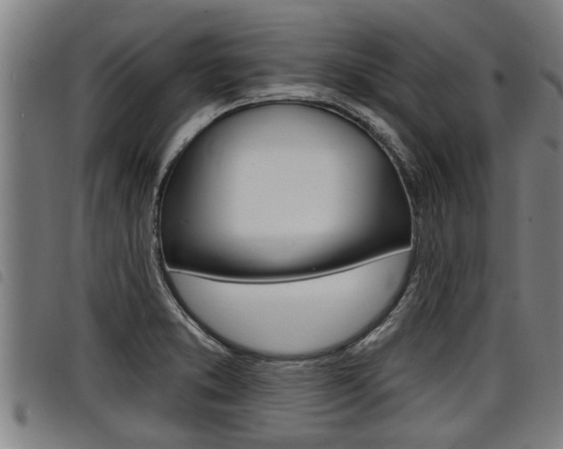 X0000098111373200804040752