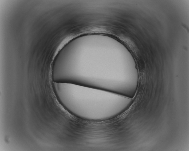 X0000098111374200804040752