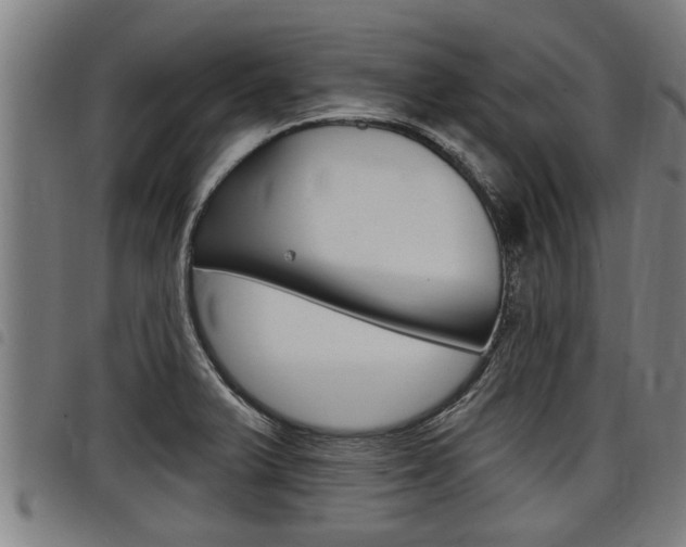 X0000098111375200804040751