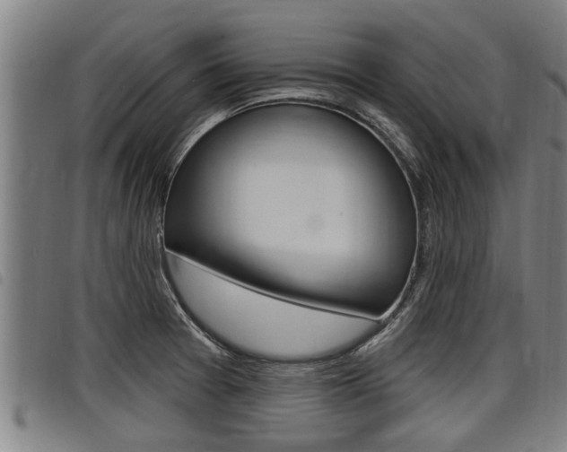 X0000098111377200804040751