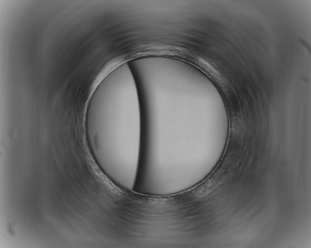 X0000098111378200804040751