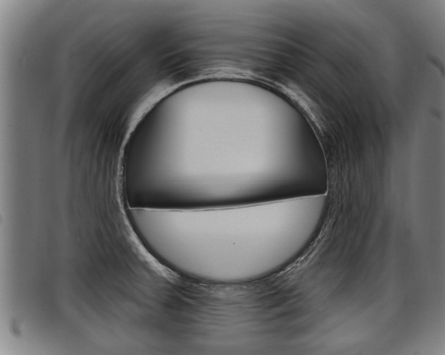 X0000098111379200804040751