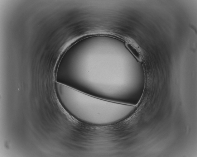 X0000098111380200804040751