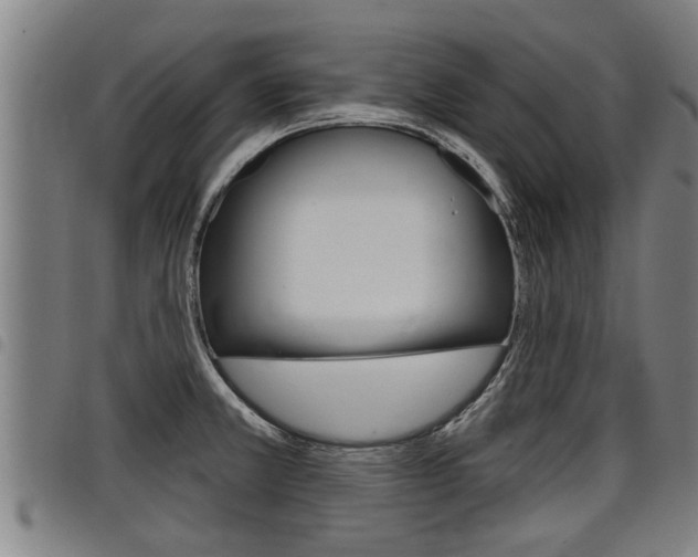 X0000098111381200804040751