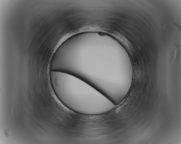 X0000098111382200804040751