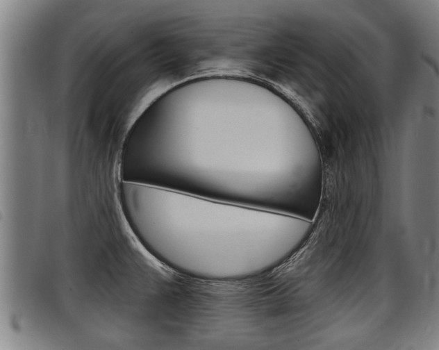 X0000098111383200804040751