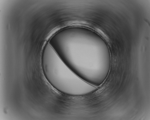 X0000098111384200804040751