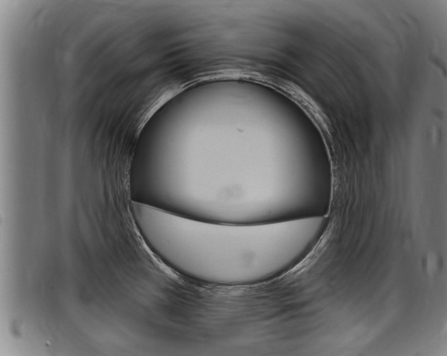 X0000098111385200804040751