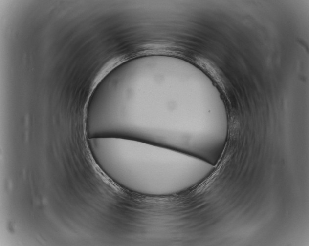 X0000098111386200804040751