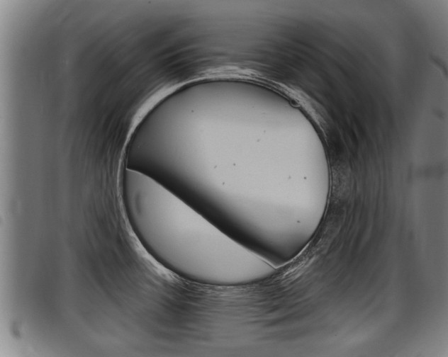 X0000098111387200804040751