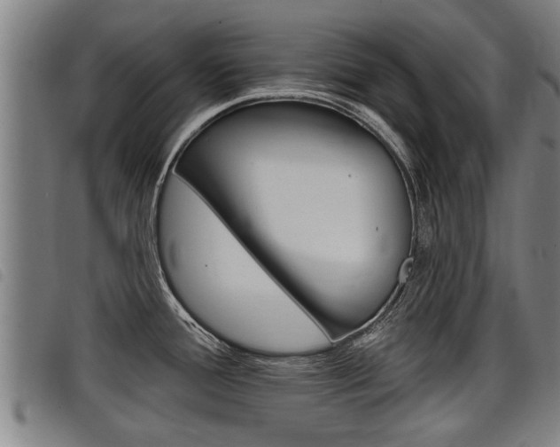 X0000098111388200804040751