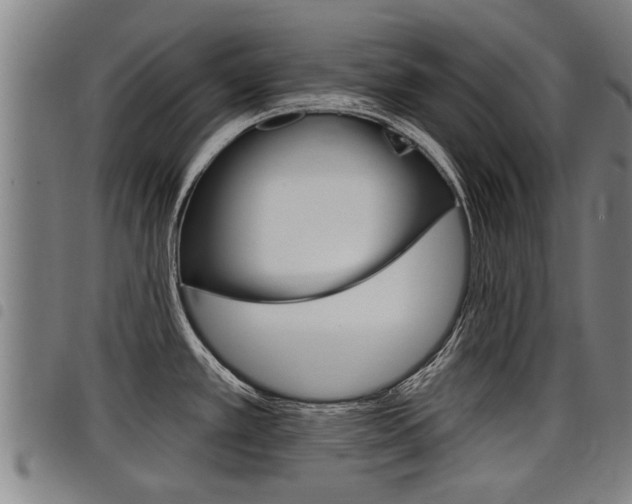 X0000098111389200804040751
