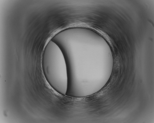 X0000098111390200804040751