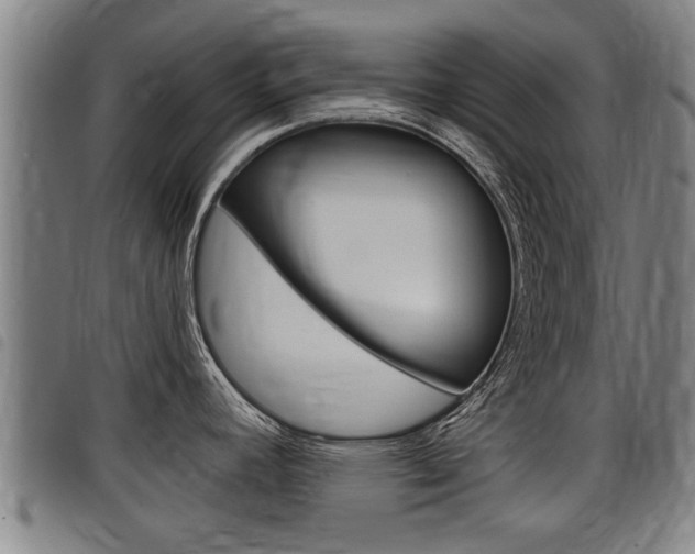 X0000098111392200804040751