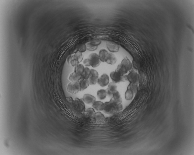 X0000098111393200804040751