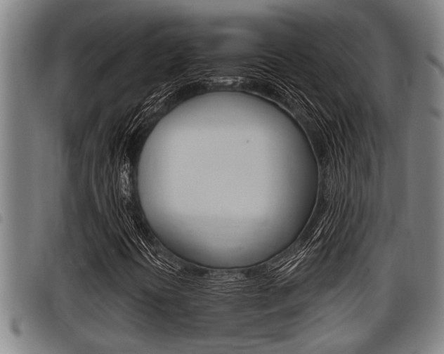 X0000098111394200804040751