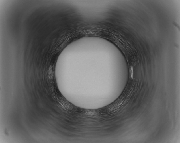 X0000098111395200804040751