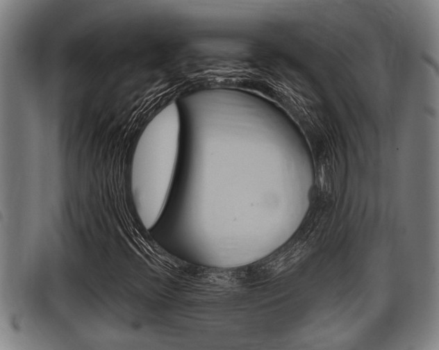 X0000098111396200804040751