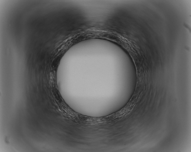 X0000098111397200804040751