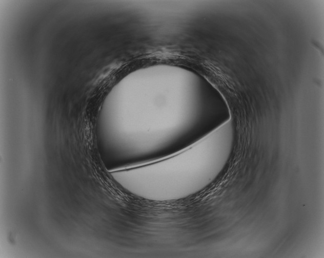 X0000098111398200804040751
