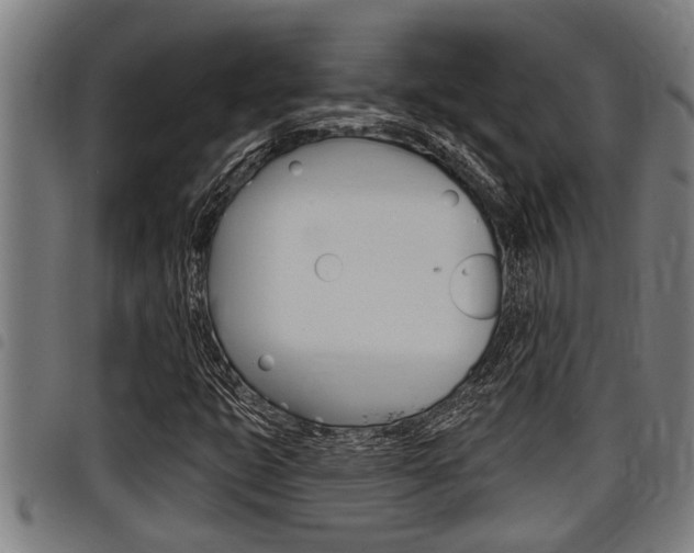 X0000098111399200804040751