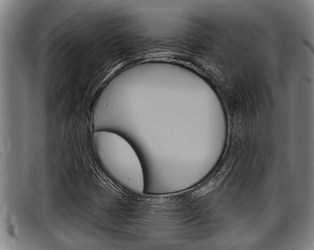 X0000098111401200804040751