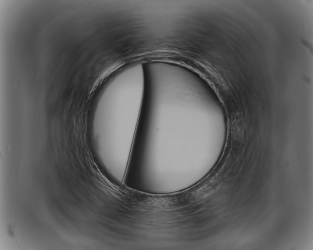 X0000098111402200804040751