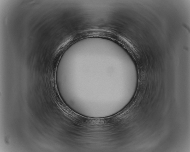 X0000098111403200804040751