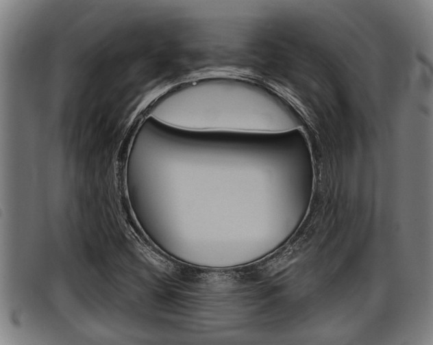 X0000098111404200804040751