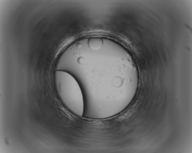 X0000098111405200804040751