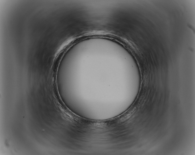 X0000098111406200804040751