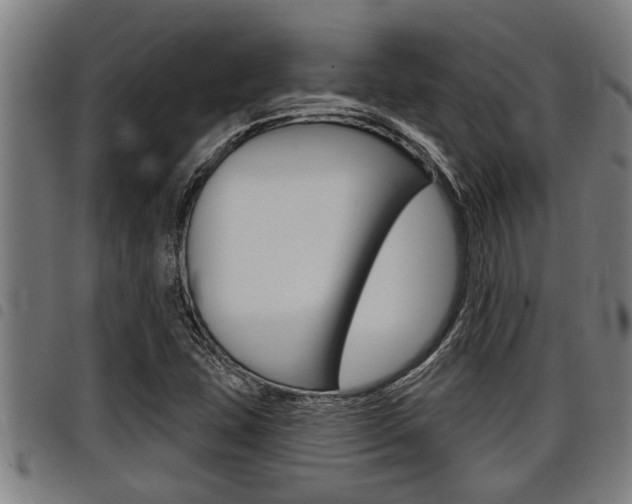 X0000098111407200804040751