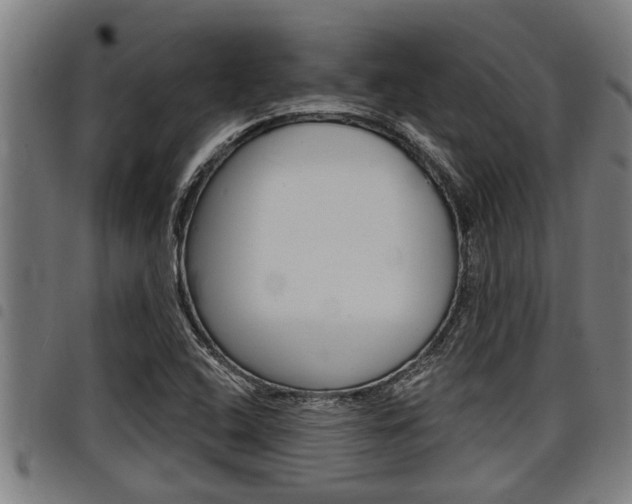 X0000098111408200804040751