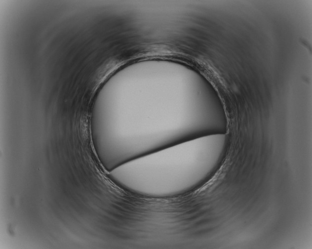 X0000098111409200804040751