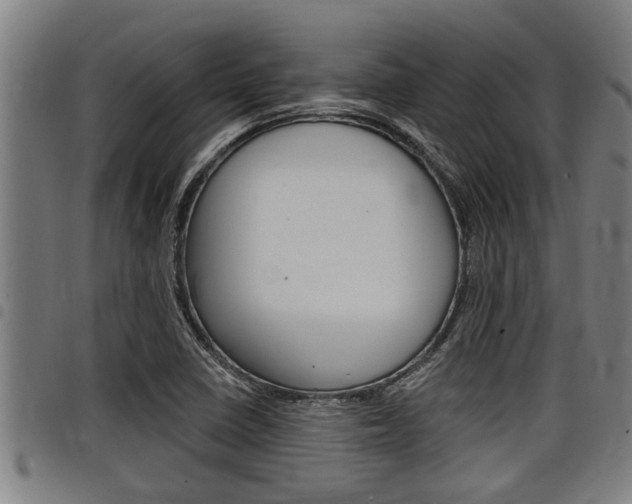 X0000098111410200804040751