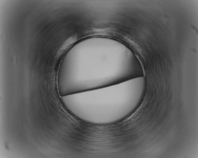 X0000098111411200804040751