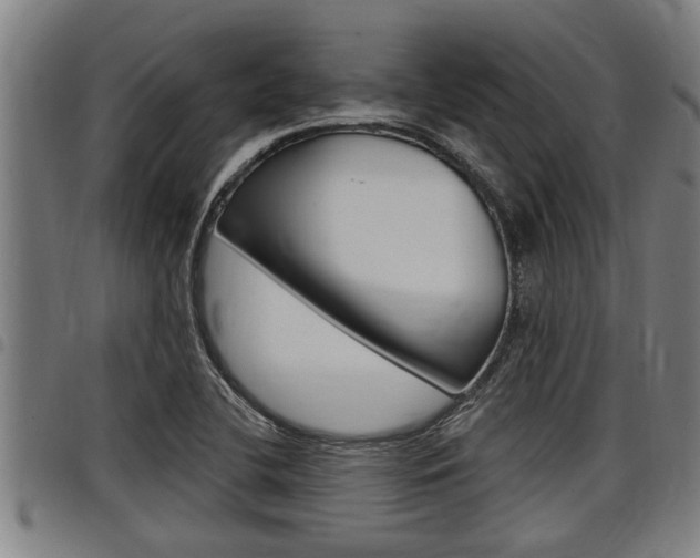 X0000098111412200804040751