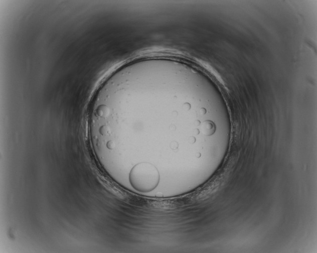 X0000098111413200804040751