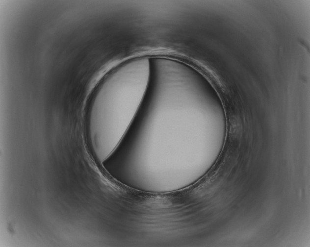 X0000098111414200804040751