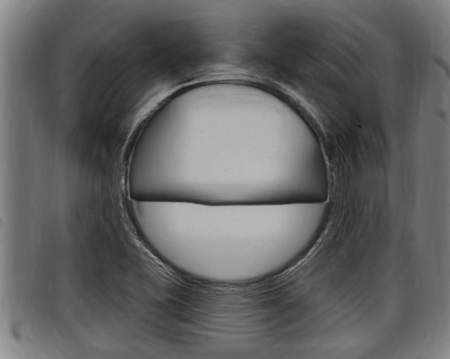 X0000098111415200804040751