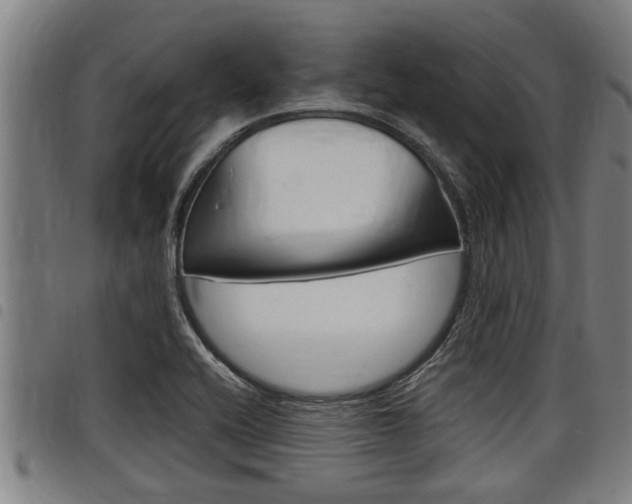 X0000098111416200804040751