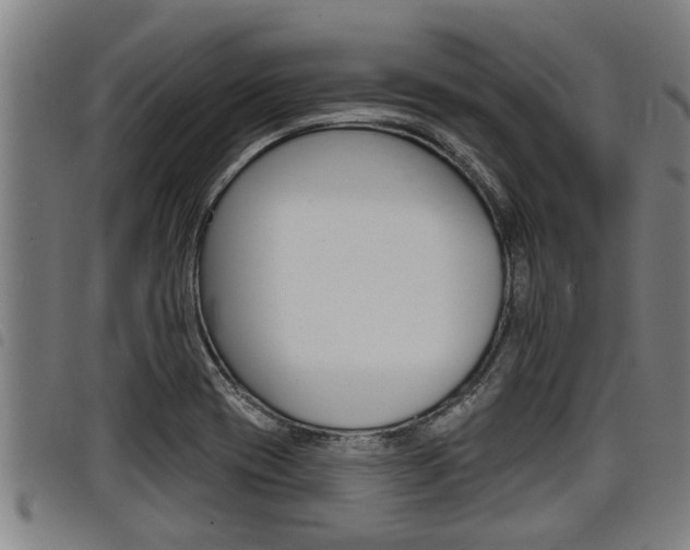 X0000098111417200804040751