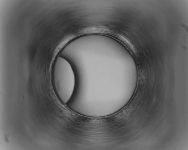 X0000098111419200804040751