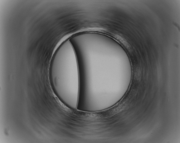 X0000098111420200804040751