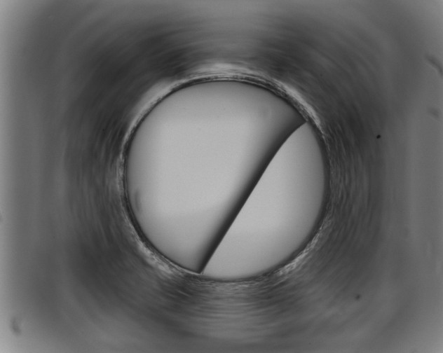 X0000098111421200804040751