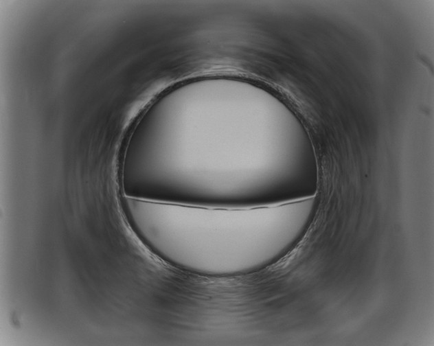 X0000098111422200804040751