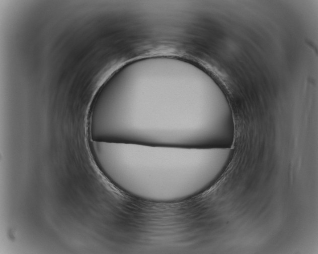 X0000098111423200804040751